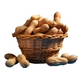 basket-peanuts-isolated-transparent-background-include-png-file_1150372-12843-removebg-preview