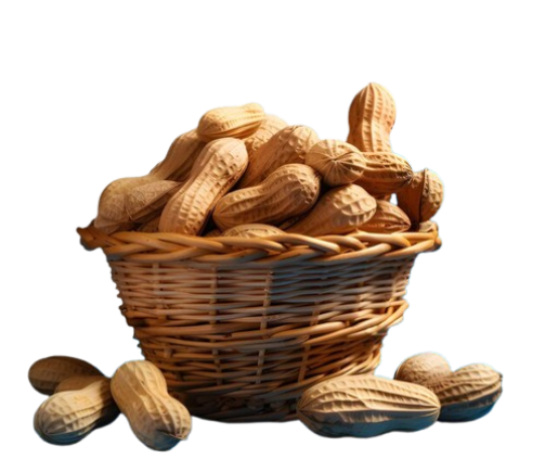basket-peanuts-isolated-transparent-background-include-png-file_1150372-12843-removebg-preview