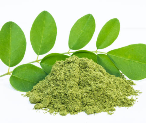 Moringa powder, Moringa oleifera on white background